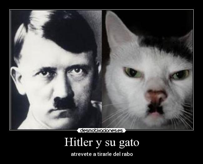 Hitler y su gato -