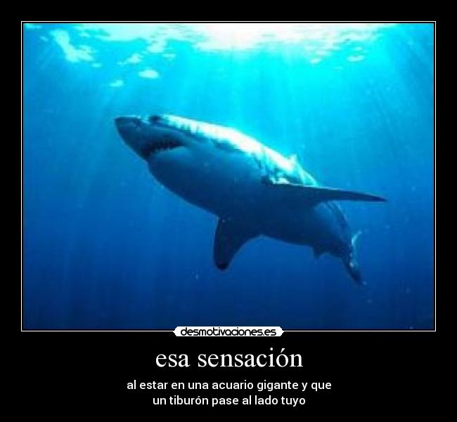 esa sensación - 