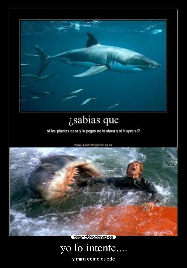 yo lo intente.... - y mira como quede