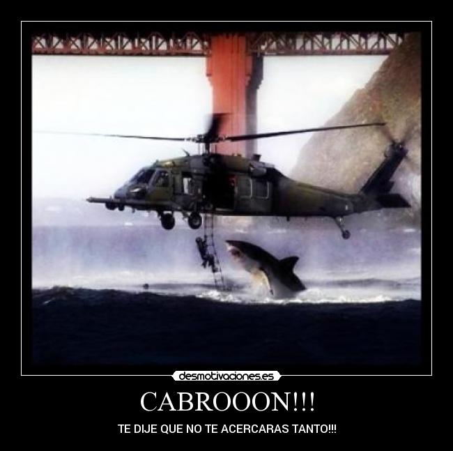 carteles roysk8 desmotivaciones