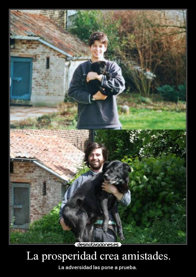 La prosperidad crea amistades. - La adversidad las pone a prueba. 