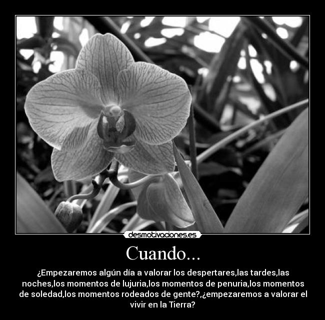 Cuando... - 
