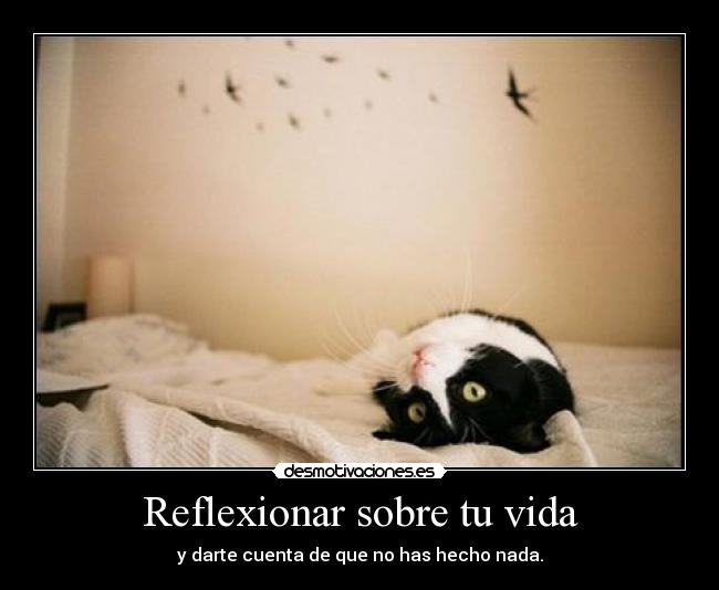 Reflexionar sobre tu vida - y darte cuenta de que no has hecho nada.