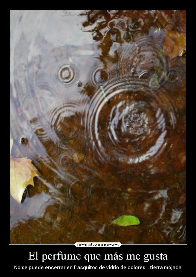 El perfume que más me gusta - 