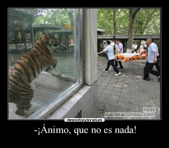 carteles tiger desmotivaciones