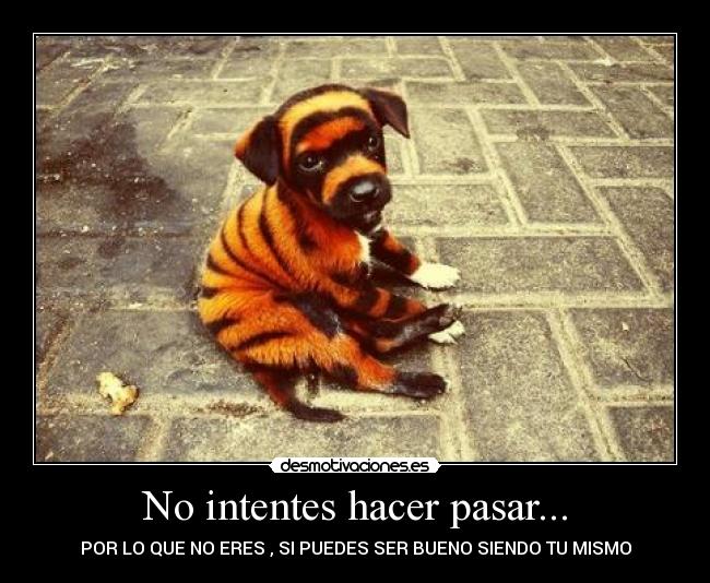 No intentes hacer pasar... - POR LO QUE NO ERES , SI PUEDES SER BUENO SIENDO TU MISMO