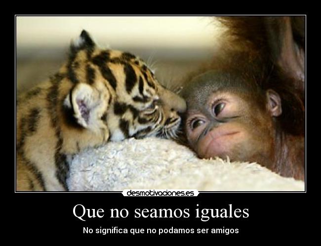 Que no seamos iguales -