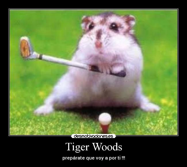 Tiger Woods -