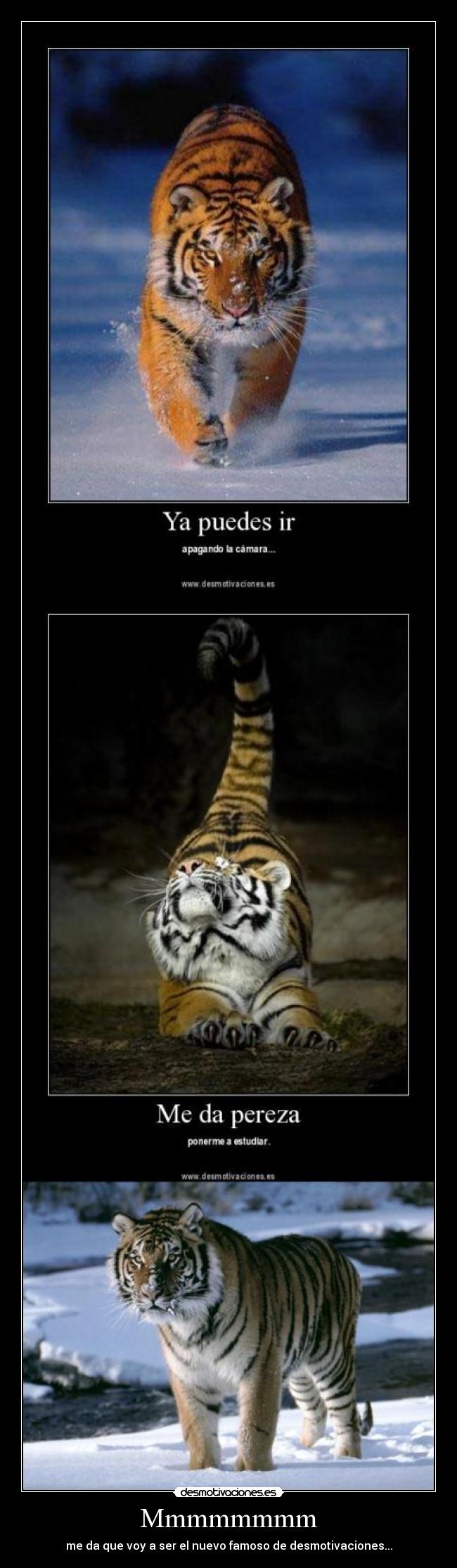 carteles tigre desmotivaciones