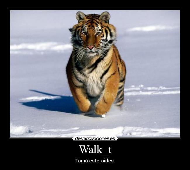 Walk_t - 