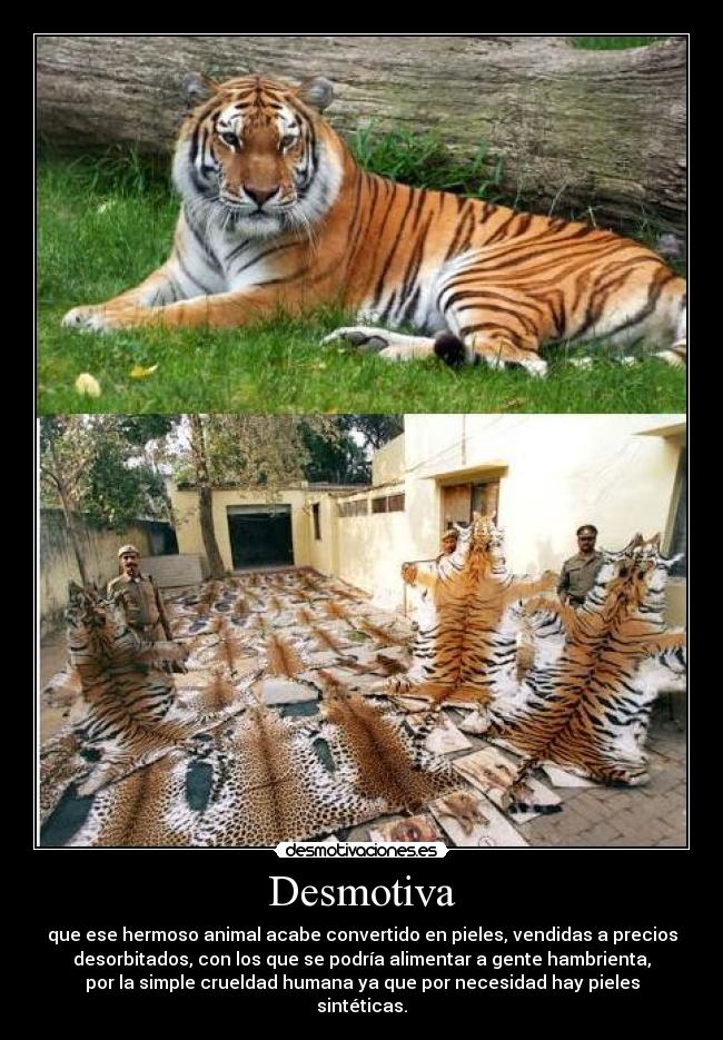 carteles desmotiva desmotivaciones