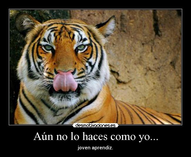 carteles nariz-lengua desmotivaciones