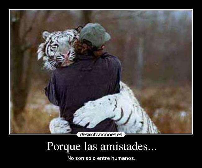 Porque las amistades... - No son solo entre humanos.
