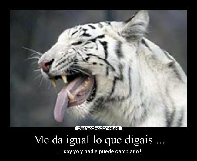 Me da igual lo que digais ... - 