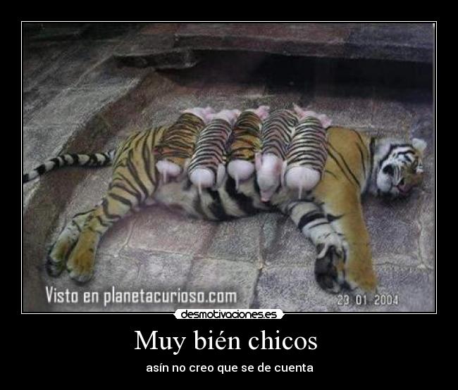 Muy bién chicos - asín no creo que se de cuenta