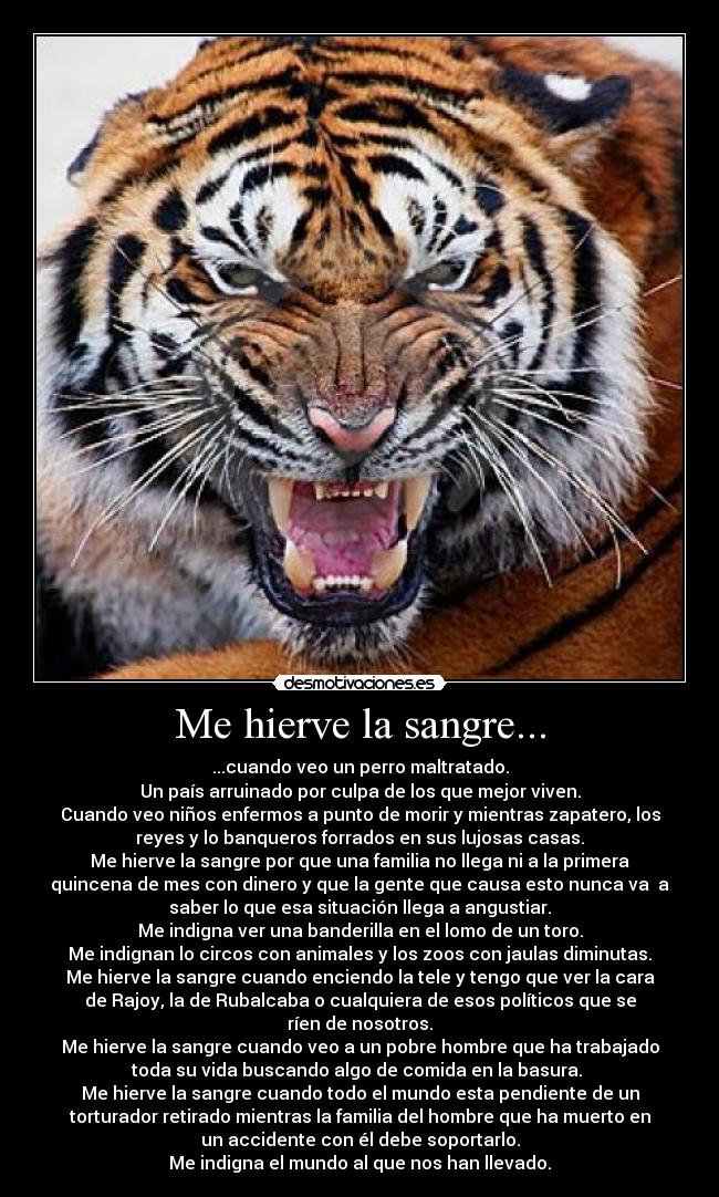 Me hierve la sangre... - 