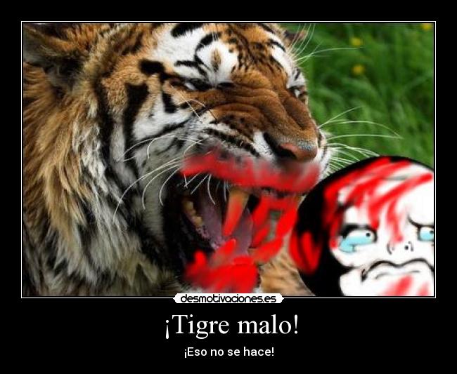 ¡Tigre malo! - 