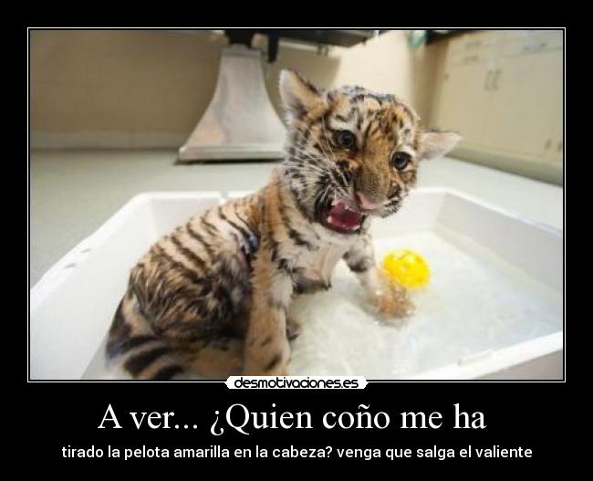 A ver... ¿Quien coño me ha -