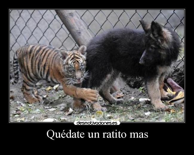 Quédate un ratito mas -