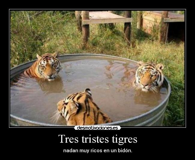 Tres tristes tigres -
