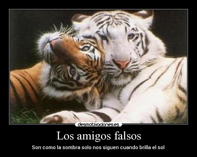 Los amigos falsos -