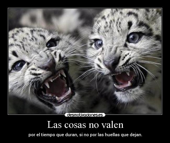 Las cosas no valen -