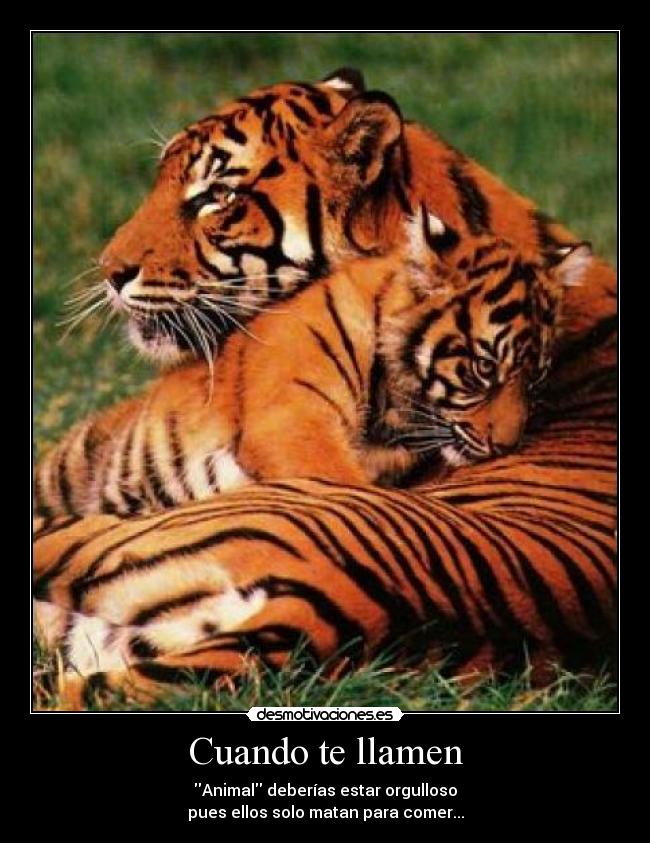 carteles chuck norris principal walt_k desmotivaciones animal llamar carteles chuck norris principal walt_k desmotivaciones animal llamar