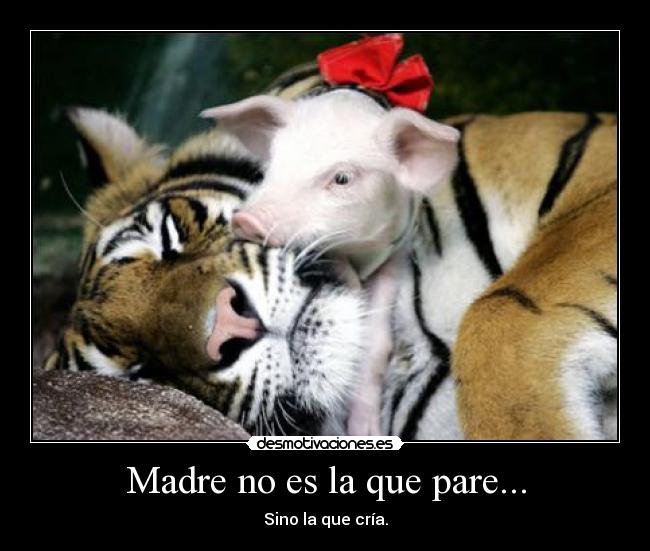 carteles madre lol desmotivaciones