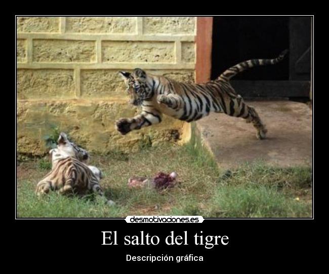 El salto del tigre - Descripción gráfica