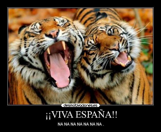 ¡¡VIVA ESPAÑA!! -