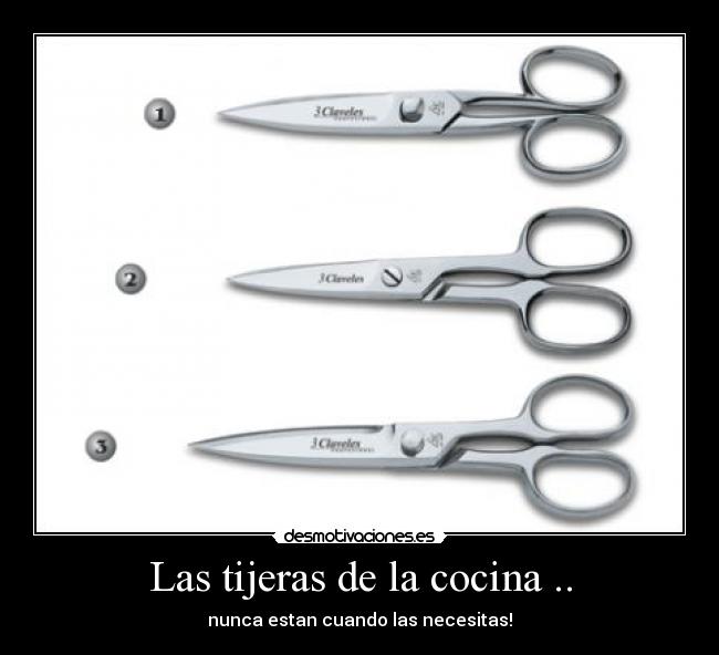 Las tijeras de la cocina .. - nunca estan cuando las necesitas!
