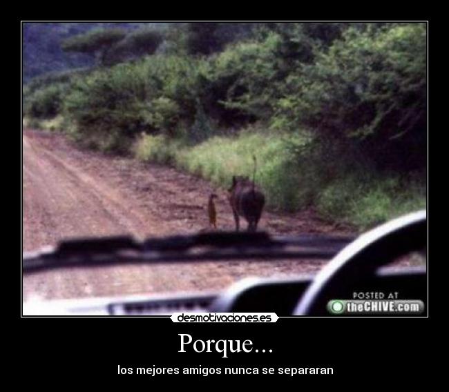 Porque... - los mejores amigos nunca se separaran