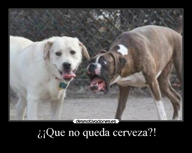 ¿¡Que no queda cerveza?! -