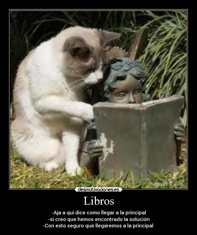 Libros -
