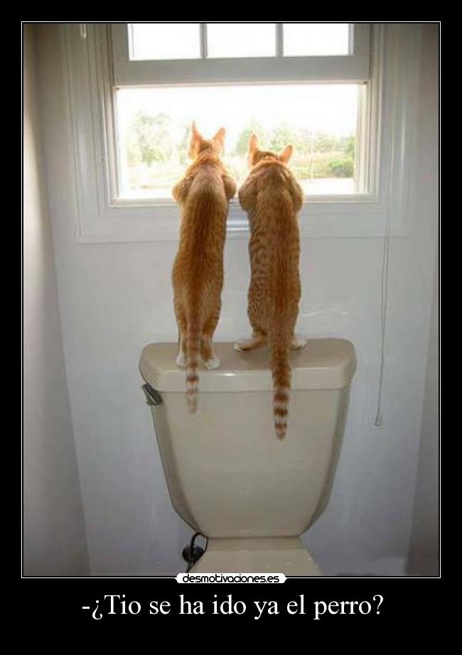 -¿Tio se ha ido ya el perro? - 