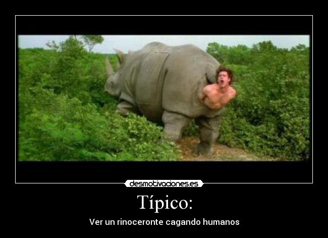 Típico: - Ver un rinoceronte cagando humanos