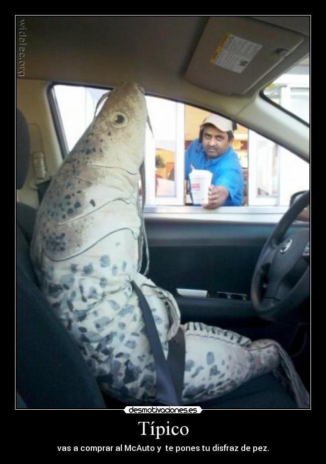 Típico - vas a comprar al McAuto y te pones tu disfraz de pez.