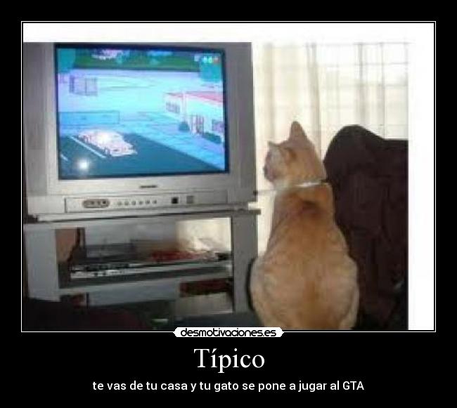 Típico - te vas de tu casa y tu gato se pone a jugar al GTA