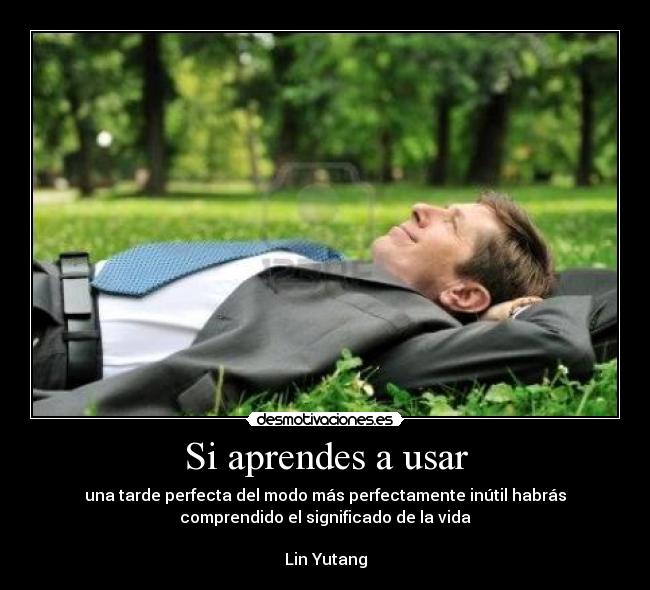 carteles aprendes usar tarde perfecta modo mas inutil posible habras comprendido significado vida lin yuta desmotivaciones