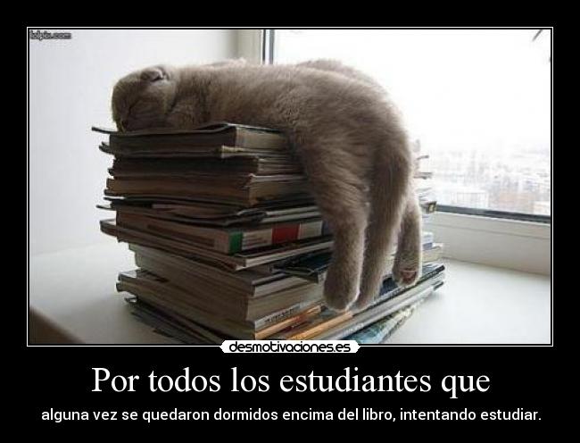 Por todos los estudiantes que -