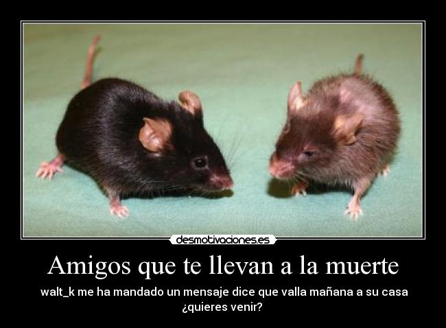 Amigos que te llevan a la muerte -