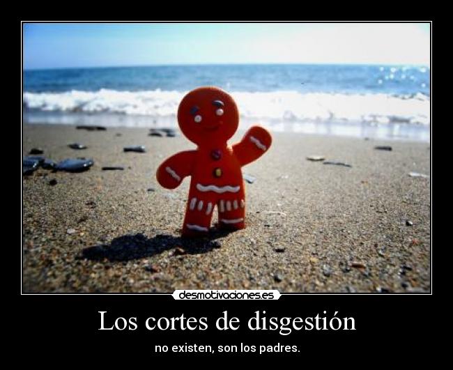 Los cortes de disgestión - 