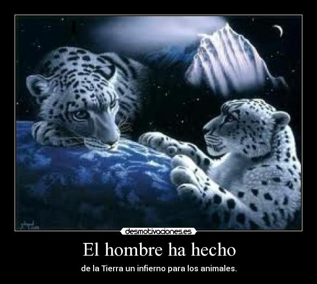 El hombre ha hecho - de la Tierra un infierno para los animales.