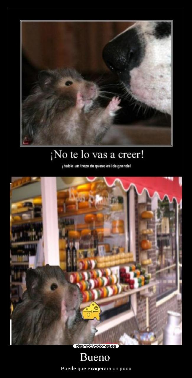 carteles kame03 desmotivaciones