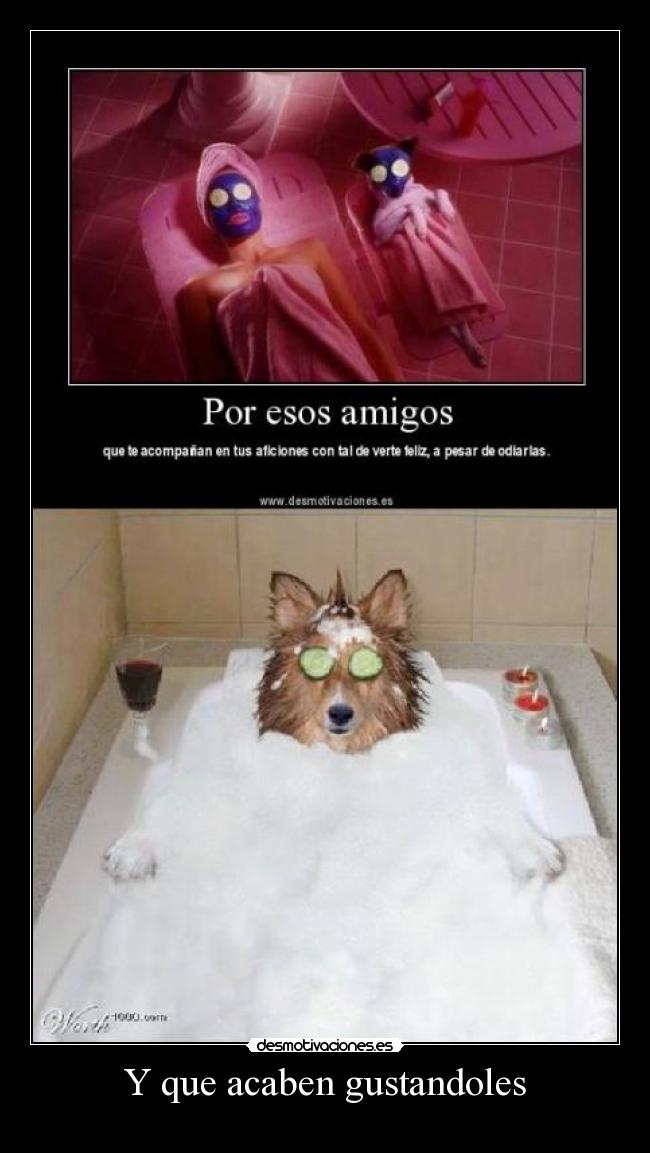 Y que acaben gustandoles - 