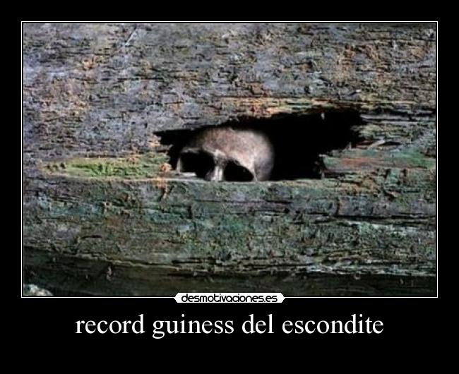 record guiness del escondite - 