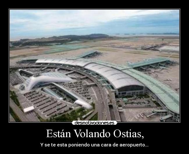 Están Volando Ostias, - Y se te esta poniendo una cara de aeropuerto...