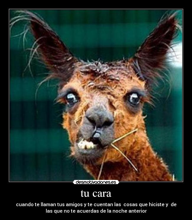 tu cara -