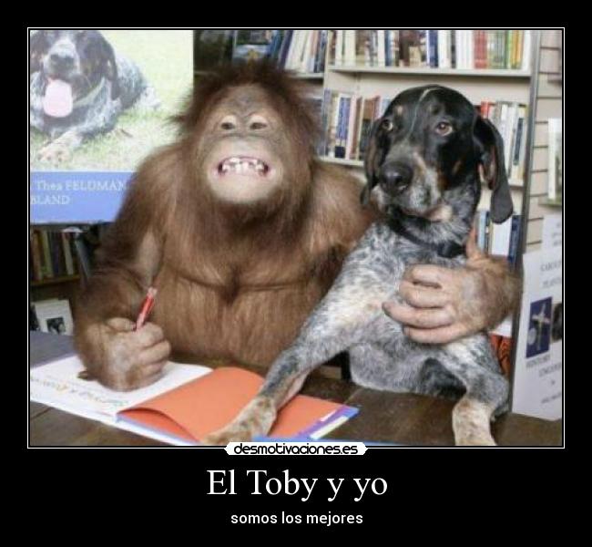 El Toby y yo - somos los mejores