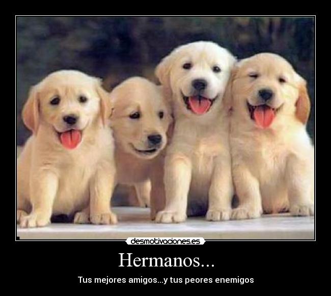 Hermanos... - Tus mejores amigos...y tus peores enemigos